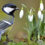 489a64f6-d3b9-4784-ae67-d0cd85c12560