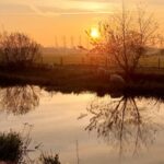 welkom december 2025