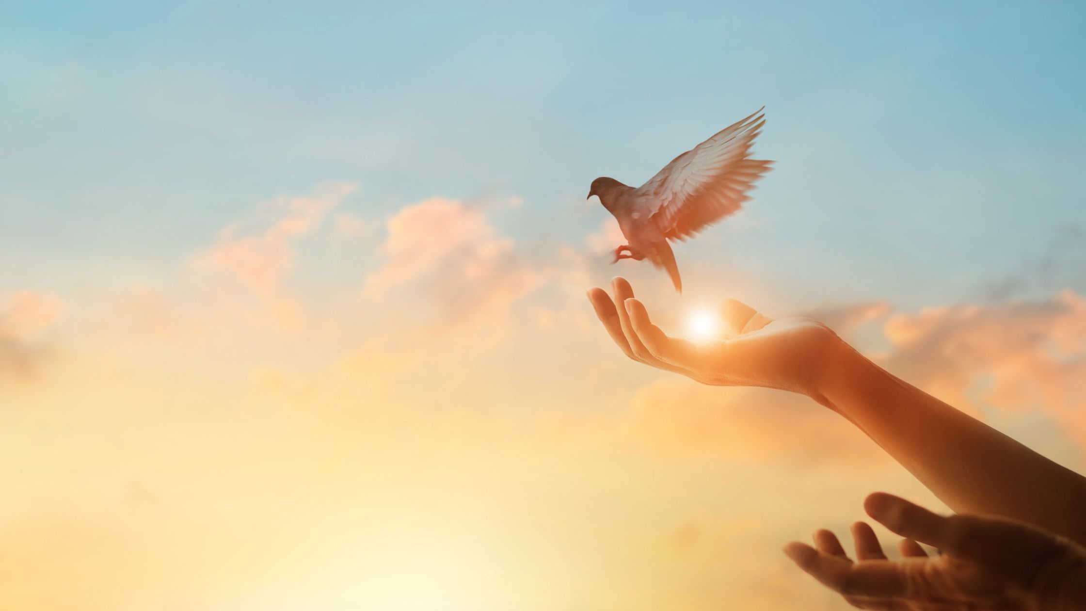 xr:d:DAFrgjQ3neg:2,j:3823955765105193996,t:23081410