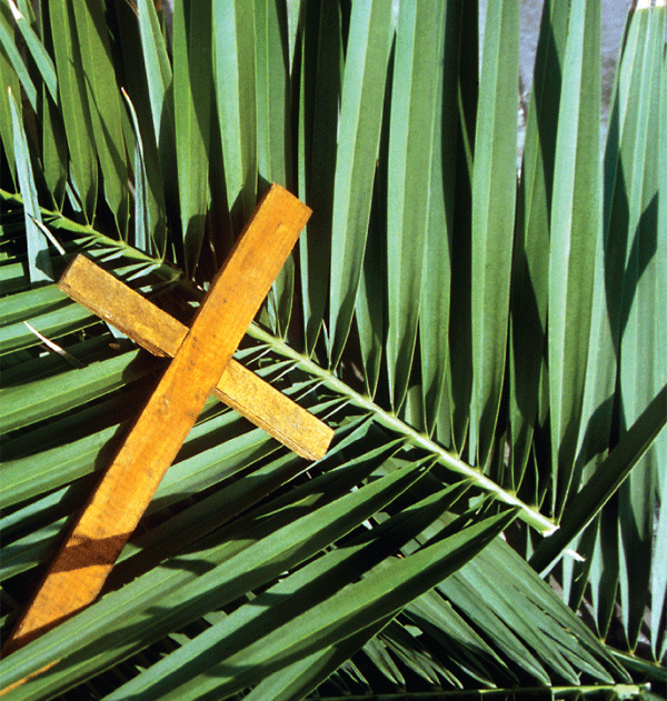 palm-sunday